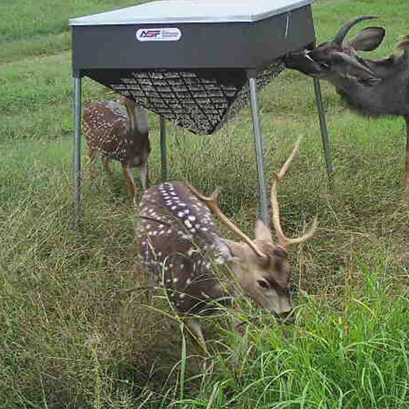 500lb Cottonseed Feeder